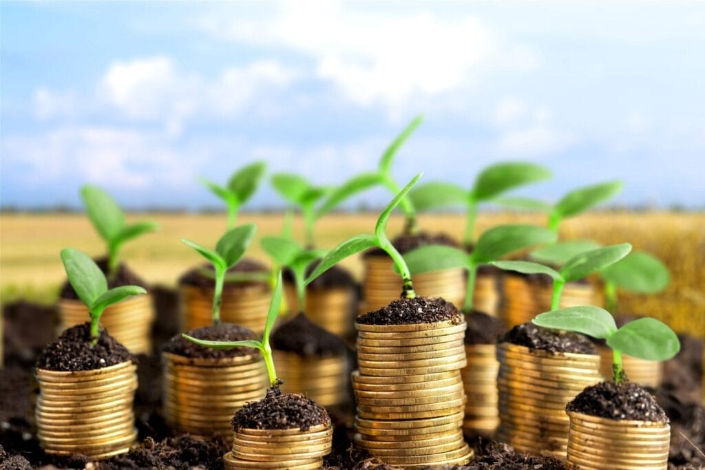 Coins in soil with young plants on blurred background. Passive income-generating property concept.